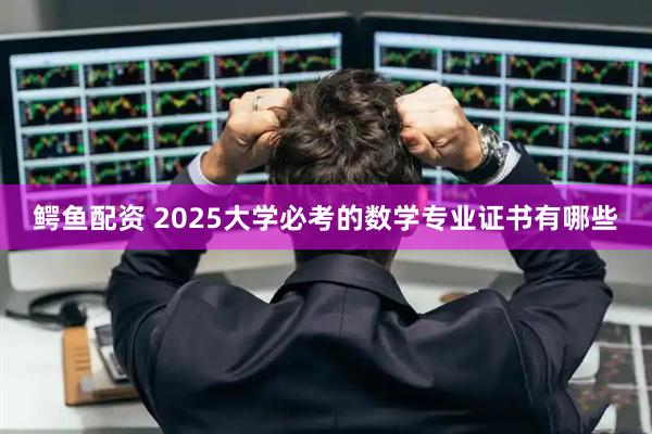 鳄鱼配资 2025大学必考的数学专业证书有哪些